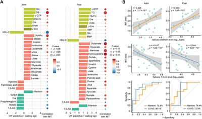 Salivary metabolic signatures of carotid atherosclerosis in patients with type 2 diabetes hospitalized for treatment